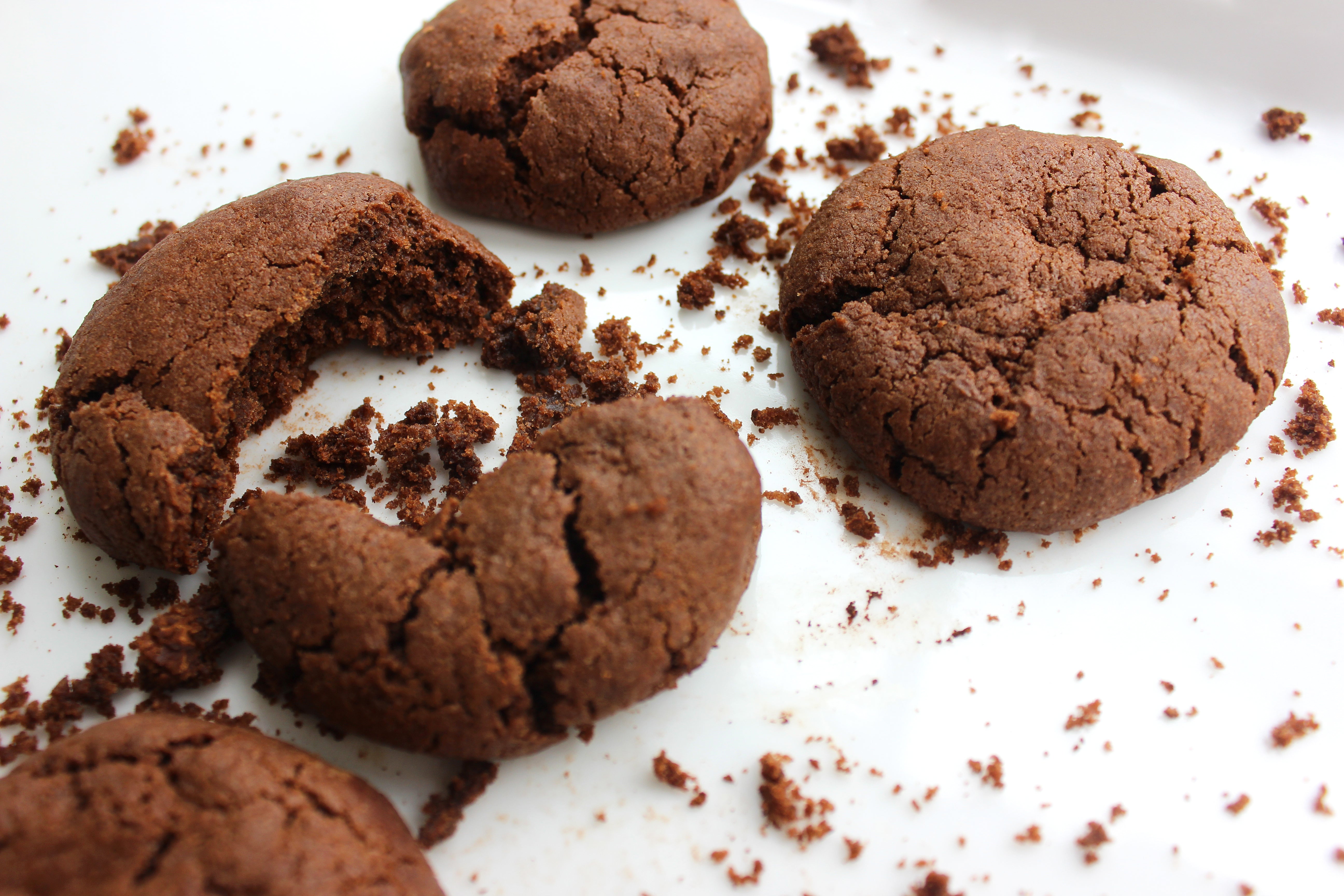 chocolate chocolate chip cookie