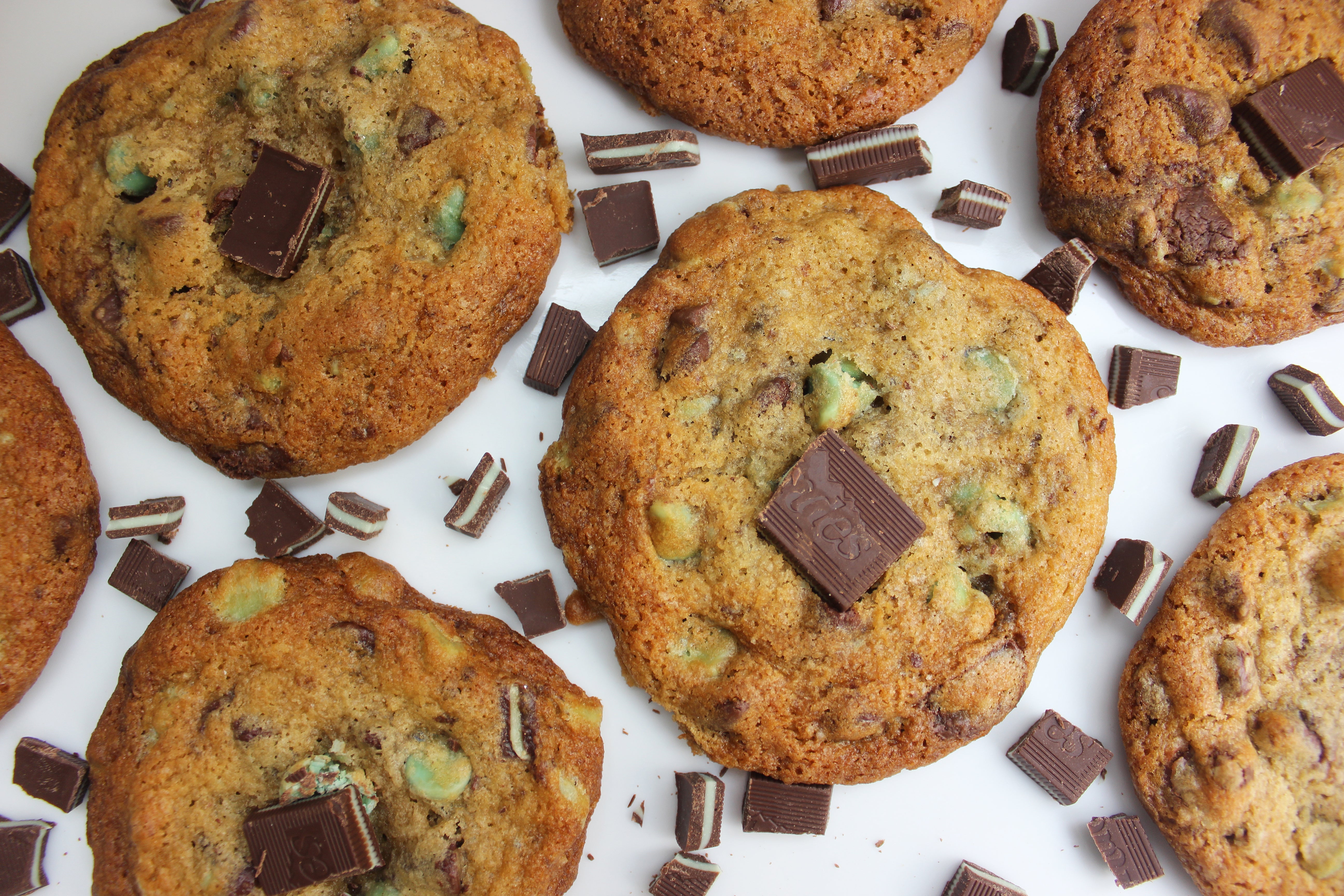 mint chocolate chip cookie