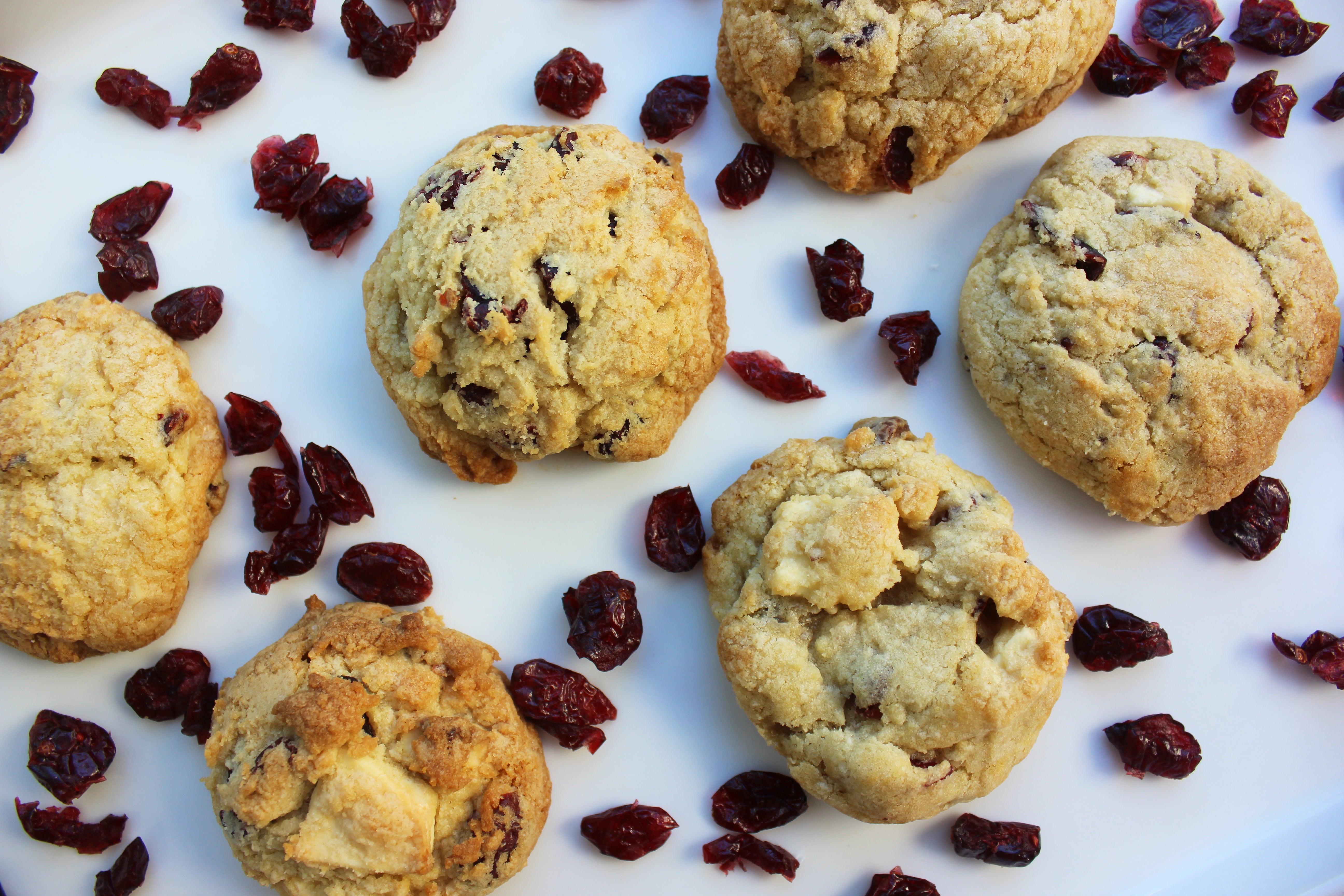 white chocolate cranberry cookie